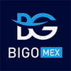 Logo BigoMex-Trading for BEGINNERS