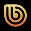 Logo Burency Global – Insured Crypto Exchange & Wallet