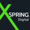 Logo XSpring Digital