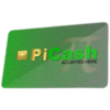 Logo PiCash Crypto Vault