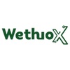 Logo WethioX